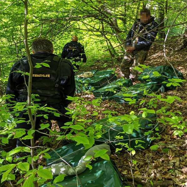 Aproximativ 40.000 de pachete cu țigări de contrabandă depistate la graniţa cu Ucraina