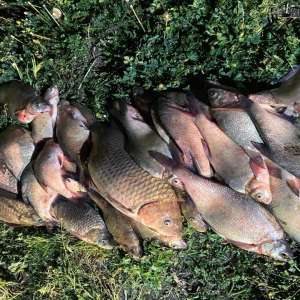 Pescari la vreme de seară