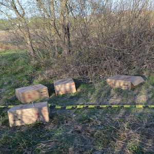 Trei cetățeni români cercetați pentru contrabandă și peste 15.000 pachete țigări confiscate la frontiera de nord