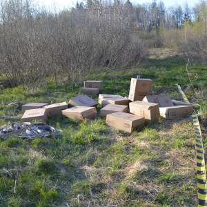Trei cetățeni români cercetați pentru contrabandă și peste 15.000 pachete țigări confiscate la frontiera de nord