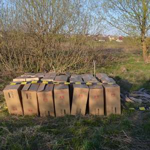 Trei cetățeni români cercetați pentru contrabandă și peste 15.000 pachete țigări confiscate la frontiera de nord