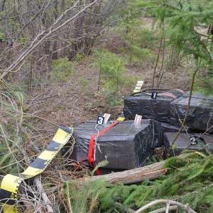 Un cetățean ucrainean cercetat pentru contrabandă și peste 27.000 pachete țigări confiscate la frontiera de nord