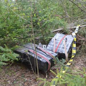 Un cetățean ucrainean cercetat pentru contrabandă și peste 27.000 pachete țigări confiscate la frontiera de nord