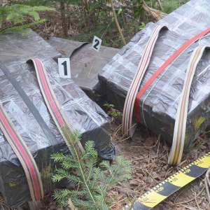 Un cetățean ucrainean cercetat pentru contrabandă și peste 27.000 pachete țigări confiscate la frontiera de nord