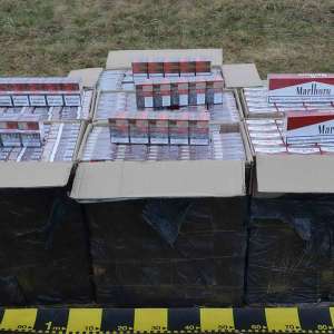 Un cetățean ucrainean cercetat pentru contrabandă și peste 27.000 pachete țigări confiscate la frontiera de nord