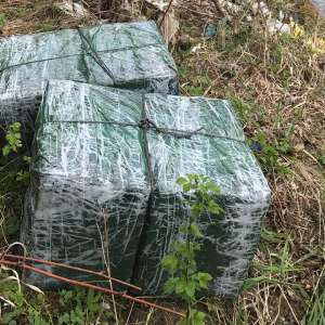 Aproximativ 30.000 pachete cu țigări descoperite la granița cu Ucraina