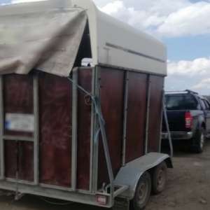 Infracțiuni la regimul juridic al circulației rutiere constatate de polițiștii de frontieră