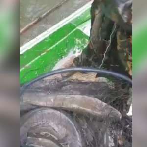 Două persoane surprinse la pescuit în perioada de prohibiție, cercetate pentru că au pus în pericol viaţa unui poliţist de frontieră