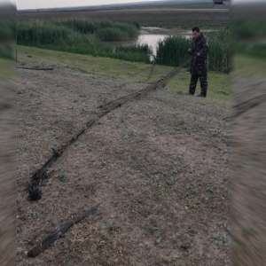 Infracțiuni de braconaj piscicol constatate de polițiștii de frontieră gălățeni