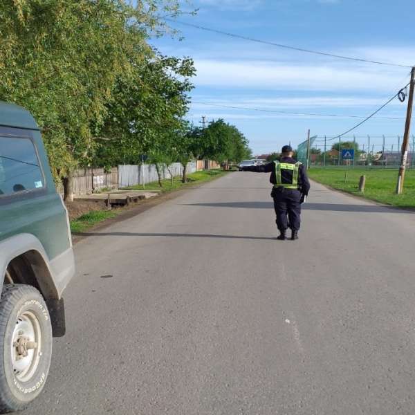 Şi-a făcut cadou o lucrare penală