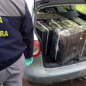 Peste 20.000 pachete cu țigări de contrabandă confiscate la frontiera de nord