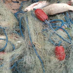 Infracțiuni de braconaj piscicol constatate de polițiștii de frontieră brăileni și gălățeni