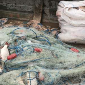 Infracțiuni de braconaj piscicol constatate de polițiștii de frontieră brăileni și gălățeni