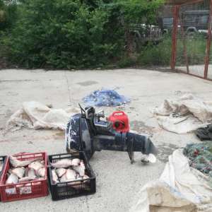 Aproximativ 140 kg peşte, confiscate de polițiștii de frontieră