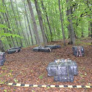 Aproximativ 38.500 de pachete cu țigări de contrabandă, confiscate la frontiera de nord a României