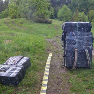 Aproximativ 38.500 de pachete cu țigări de contrabandă, confiscate la frontiera de nord a României