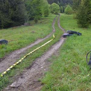 Aproximativ 38.500 de pachete cu țigări de contrabandă, confiscate la frontiera de nord a României