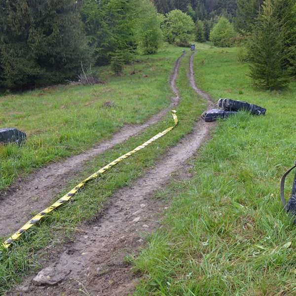 Aproximativ 38.500 de pachete cu țigări de contrabandă, confiscate la frontiera de nord a României
