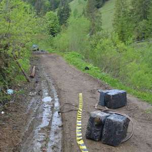 Ţigări în valoare de 125.000 lei, confiscate la frontiera de nord a României