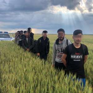 Zece cetăţeni din Afganistan, depistaţi la frontiera de vest