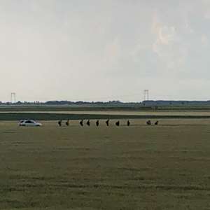 Zece cetăţeni din Afganistan, depistaţi la frontiera de vest