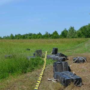 Peste 10.000 pachete țigări confiscate la frontiera de nord a României