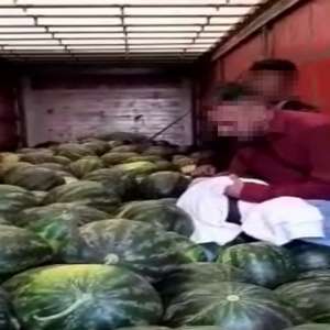 Doi cetăţeni din Pakistan, ascunși într-un camion încărcat cu pepeni, depistaţi la P.T.F. Giurgiu