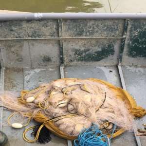 Cinci braconieri depistaţi de polițiștii de frontieră brăileni