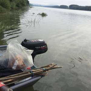 Cinci braconieri depistaţi de polițiștii de frontieră brăileni