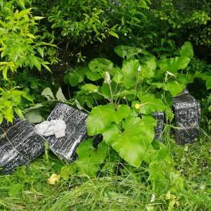 Țigări în valoare de peste 56.000 lei confiscate la frontiera de nord