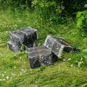 Țigări în valoare de peste 56.000 lei confiscate la frontiera de nord