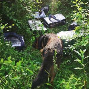 Țigări în valoare de peste 242.000 de lei, confiscate la frontiera de nord