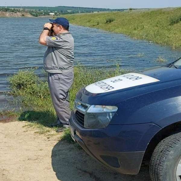 Rănirea sau schingiuirea animalelor este pedepsită prin lege