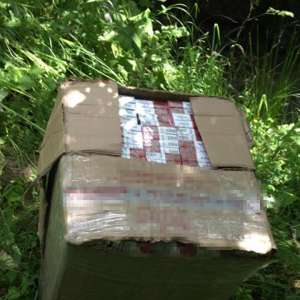 Aproximativ 17.500 de pachete cu ţigări de contrabandă, confiscate la frontiera de nord