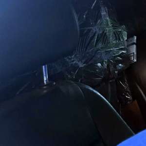 Peste 12.000 de pachete cu țigări de contrabandă, confiscate la frontiera de nord a României