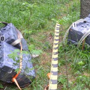 Aproximativ 12.500 pachete țigări depistate la graniţa cu Ucraina
