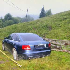 Aproximativ 34.000 de pachete cu ţigări de contrabandă, confiscate la frontiera de nord