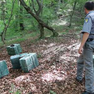 4.000 de pachete cu ţigări de contrabandă, reținute la frontiera de nord