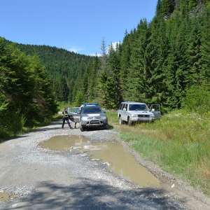 Aproximativ 10.000 pachete cu țigări, confiscate la granița de nord a României