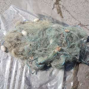 Doi braconieri depistaţi de polițiștii de frontieră brăileni