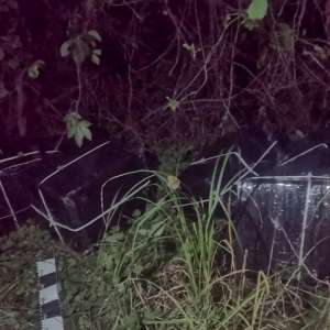 Peste 10.000 pachete cu țigări, confiscate la granița cu Ucraina