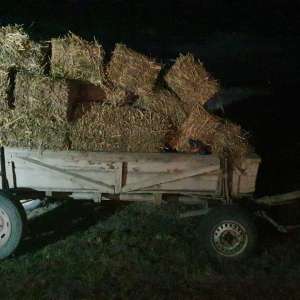 Polițiștii de frontieră au descoperit patru bărbaţi care transportau bunuri furate