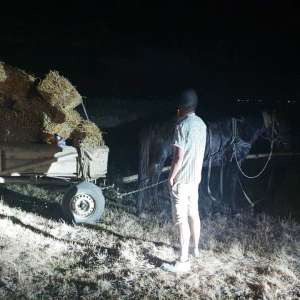 Polițiștii de frontieră au descoperit patru bărbaţi care transportau bunuri furate