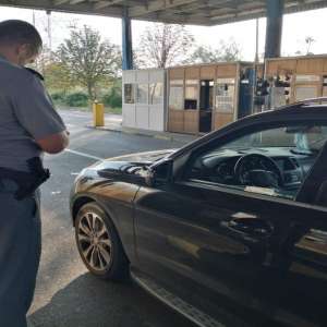 Evitarea carantinei cu documente false