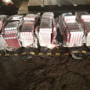 Ţigări de contrabandă de peste 252.000 lei, reţinute cu focuri de armă la frontiera de est