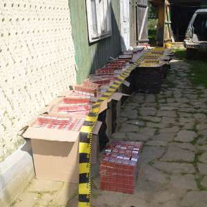 Peste 31.000 de pachete cu țigări de contrabandă, confiscate la frontiera de nord a României