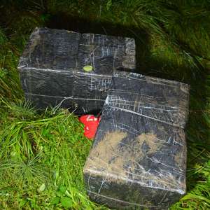 Peste 31.000 de pachete cu țigări de contrabandă, confiscate la frontiera de nord a României