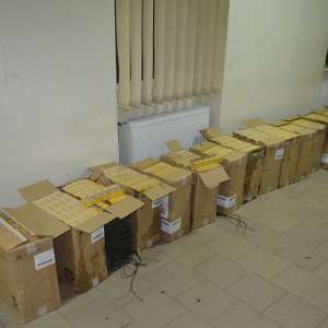 Peste 31.000 de pachete cu țigări de contrabandă, confiscate la frontiera de nord a României