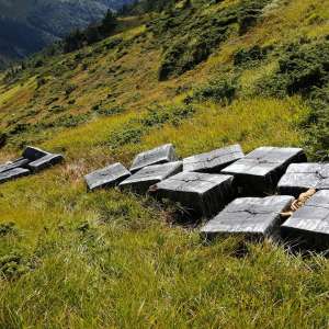 Contrabandă la 1930 metri altitudine, în Munții Maramureșului