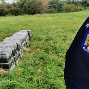 6.300 pachete cu țigări descoperite într-un șopron cu fân